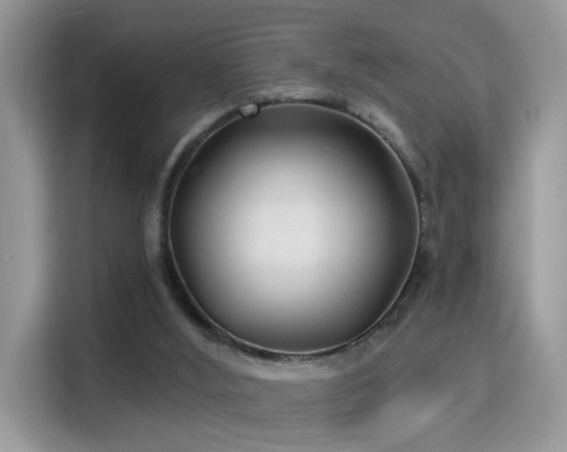 X0000115320012200911091206