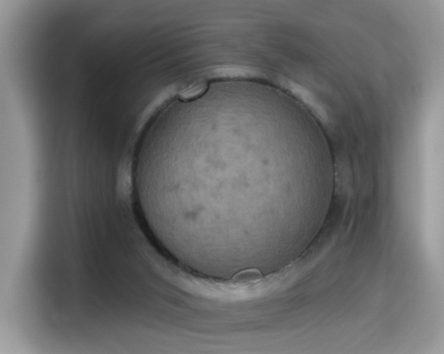 X0000115320015200911091206