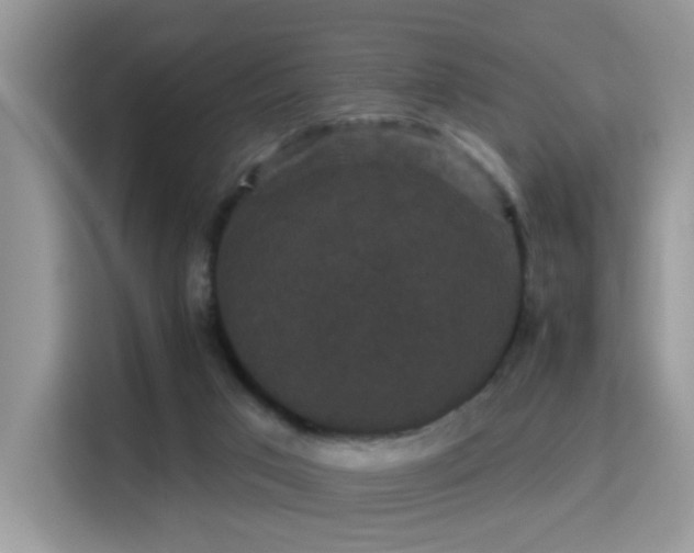 X0000115320017200911091206