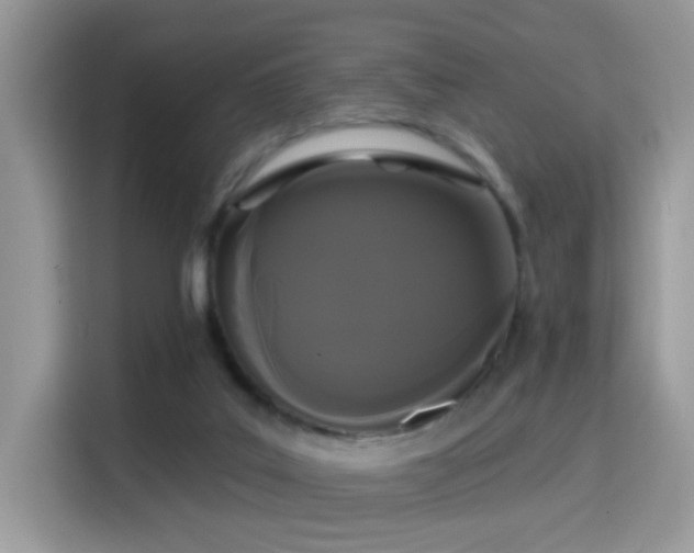 X0000115320019200911091206