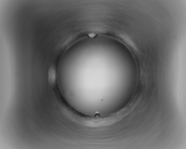 X0000115320021200911091206