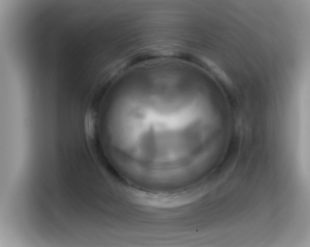 X0000115320026200911091206