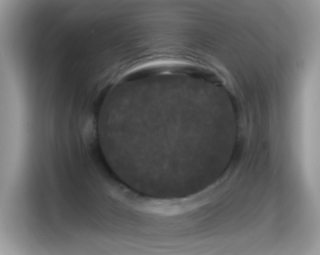 X0000115320029200911091206