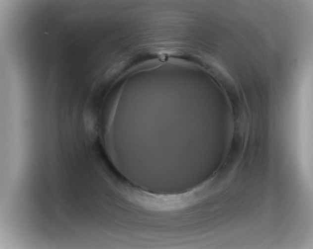 X0000115320031200911091206