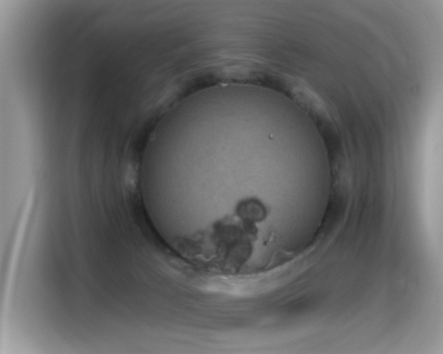 X0000115320033200911091206