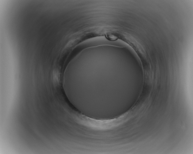 X0000115320035200911091206