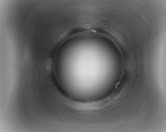 X0000115320036200911091206