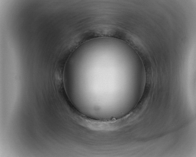 X0000115320040200911091206