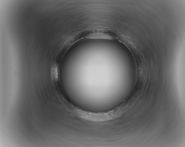 X0000115320042200911091206