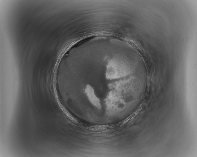 X0000115320049200911091205