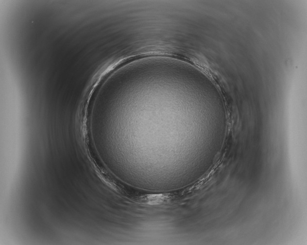 X0000115320050200911091205