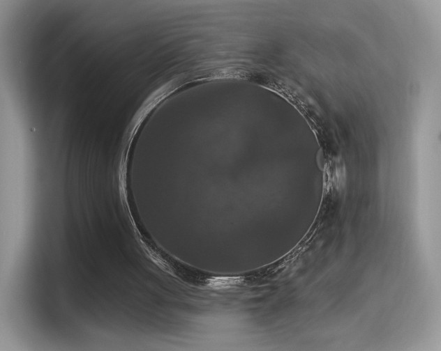 X0000115320051200911091205