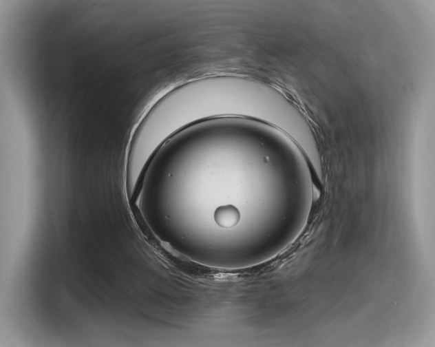 X0000115320052200911091205