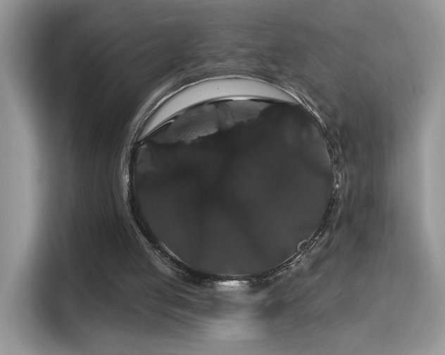 X0000115320053200911091205