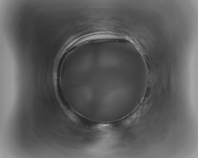 X0000115320055200911091205