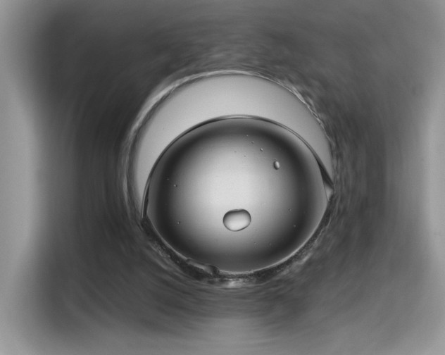 X0000115320056200911091205