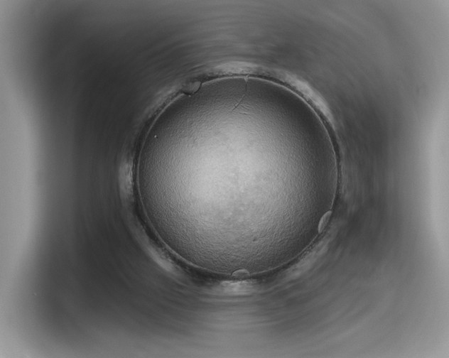 X0000115320057200911091205