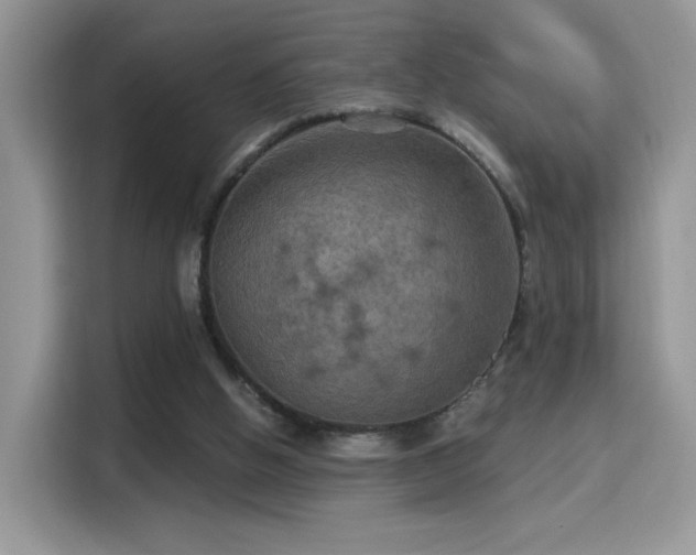 X0000115320058200911091205