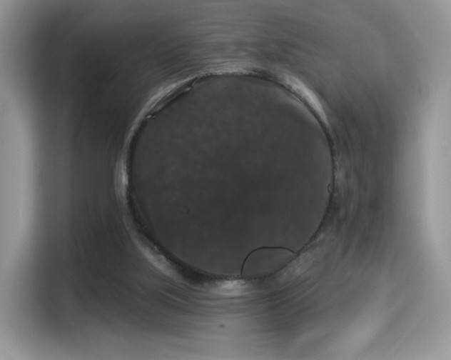 X0000115320059200911091205