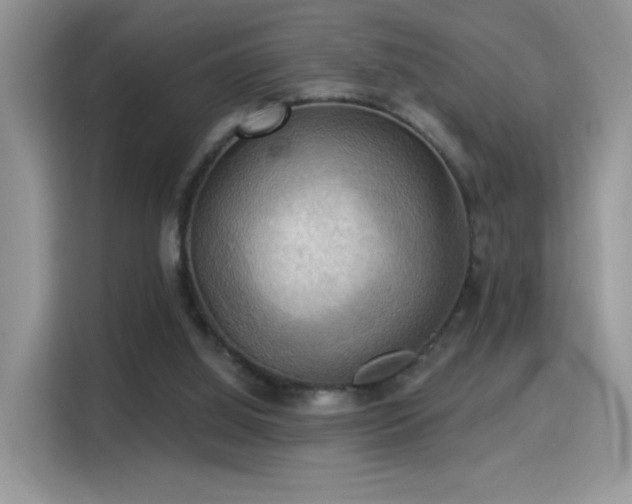 X0000115320060200911091205