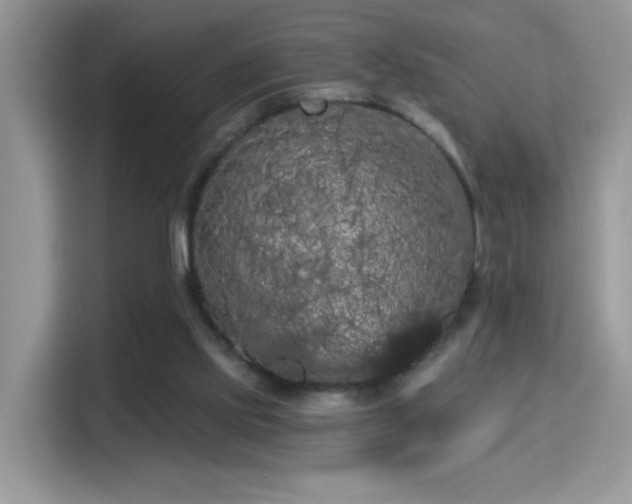 X0000115320061200911091205