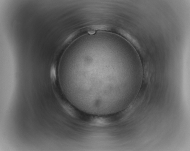 X0000115320062200911091205