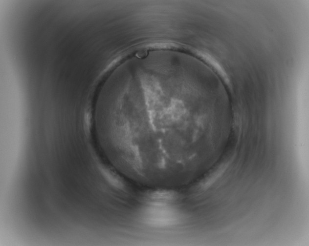 X0000115320063200911091205