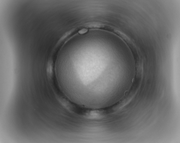 X0000115320064200911091205