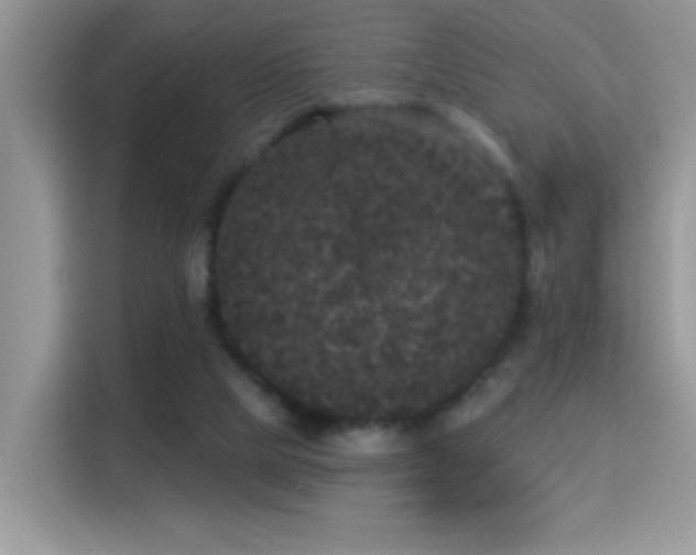 X0000115320065200911091205