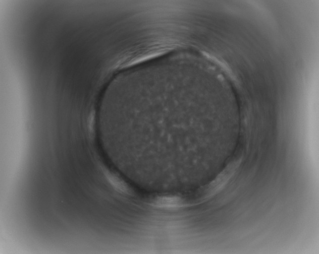 X0000115320066200911091205