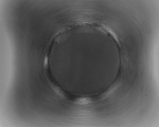 X0000115320067200911091205