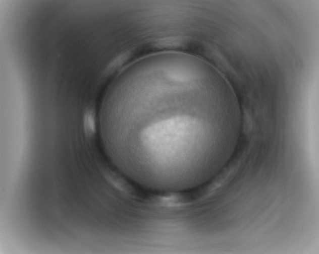 X0000115320068200911091205