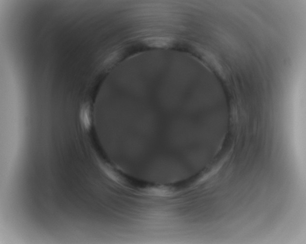 X0000115320069200911091205