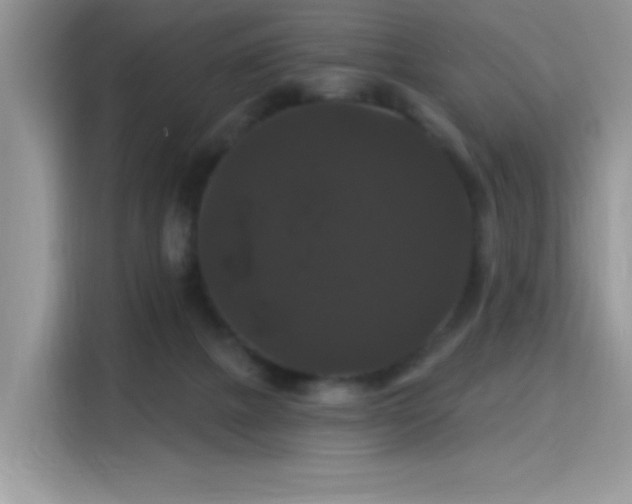 X0000115320073200911091206