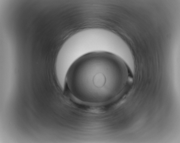 X0000115320076200911091206