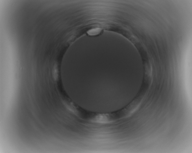 X0000115320080200911091206