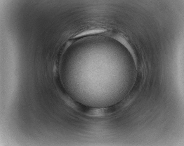 X0000115320084200911091206