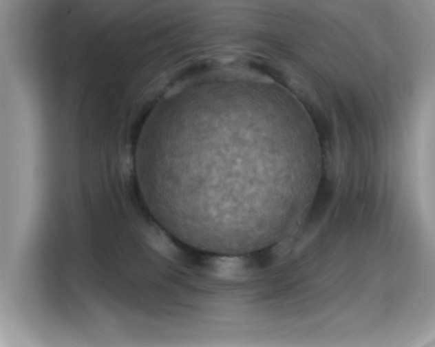 X0000115320085200911091206