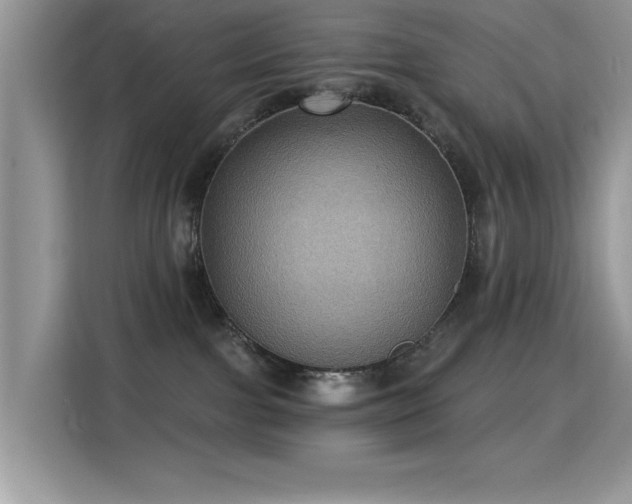 X0000115320091200911091206