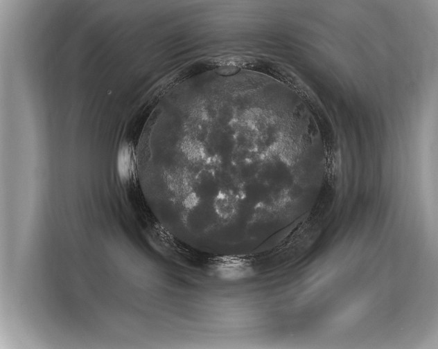 X0000115320095200911091206