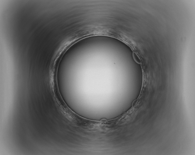 X0000115320098200911091205