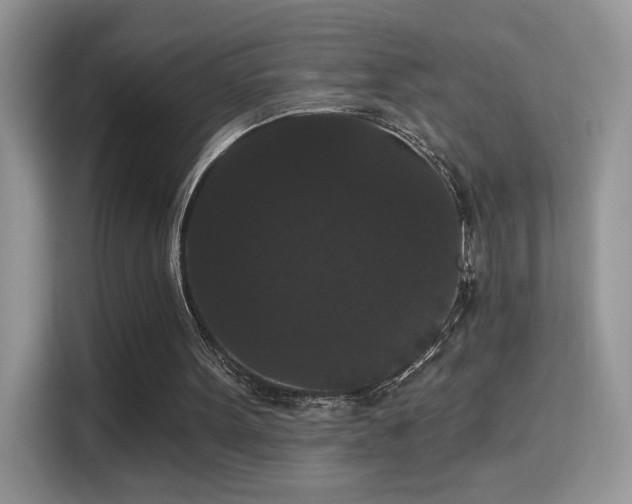 X0000115320099200911091205