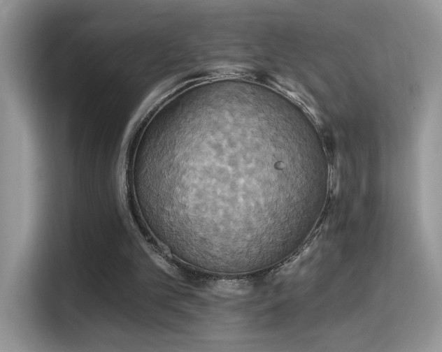 X0000115320101200911091205