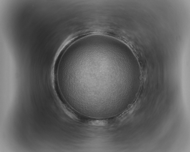 X0000115320102200911091205