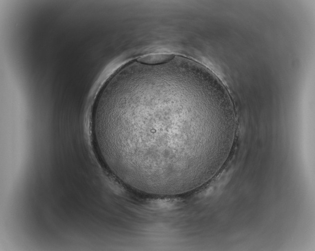 X0000115320103200911091205