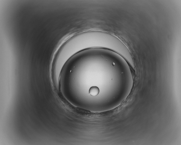 X0000115320104200911091205