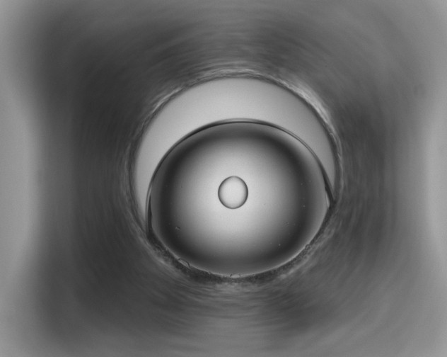 X0000115320105200911091205