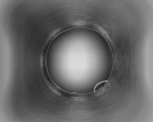 X0000115320106200911091205