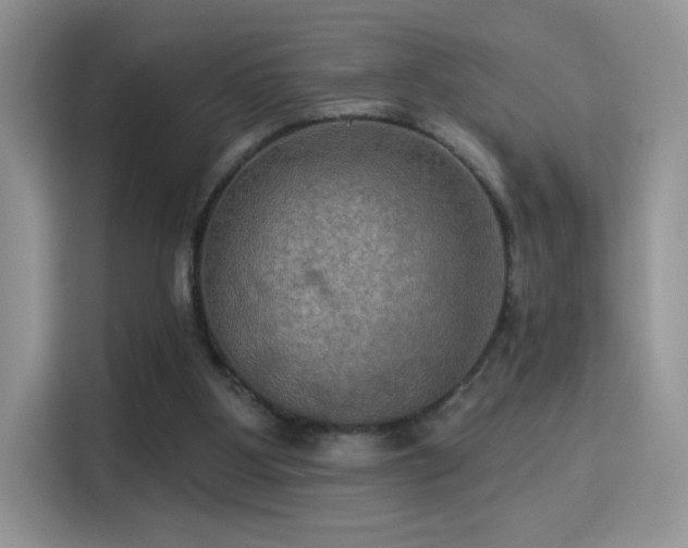 X0000115320107200911091205