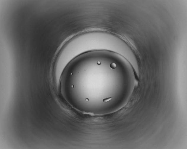 X0000115320108200911091205